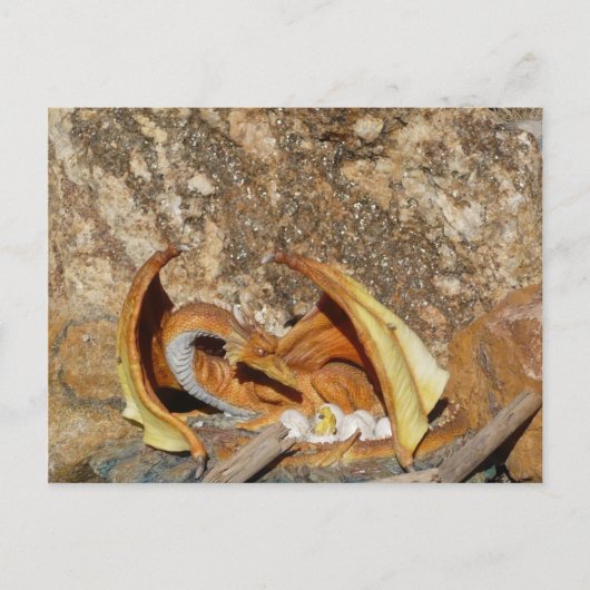 ドラゴンポストカード ポストカード (正面)