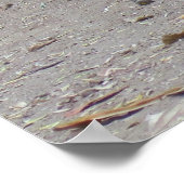 ドラゴンポートレート ポスター (角)