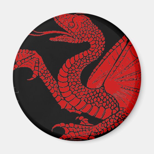 ドラゴンマグネット マグネット (正面)