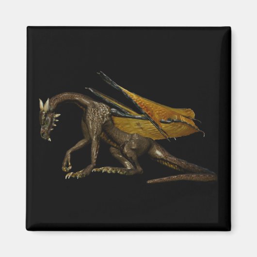 ドラゴンマグネット マグネット (正面)