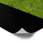 ドラゴンメイジ ポスター (角)