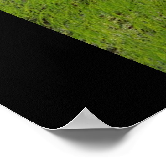 ドラゴンメイジ ポスター (角)