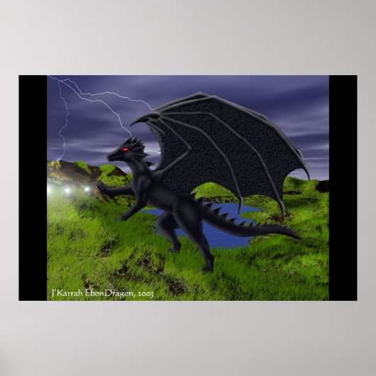 ドラゴンメイジ ポスター (正面)