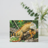 ドラゴンリザード ポストカード (スタンド正面)