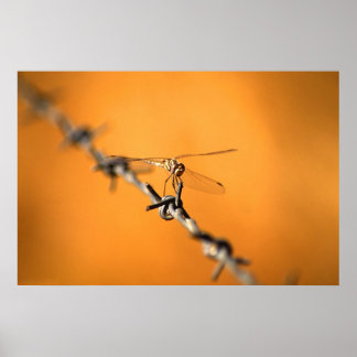 ドラゴンワイヤー ポスター