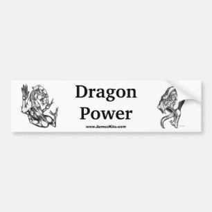 ドラゴン力 バンパーステッカー