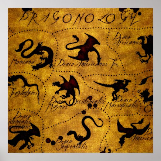 ドラゴン学1 ポスター (正面)