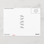 "ドラゴン果実"の郵便はがき ポストカード (裏面)