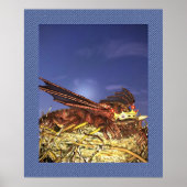 ドラゴン王 ポスター (正面)