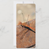 ドラゴン素朴フライ結婚式招待状 シーズンカード (裏面)