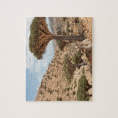 ドラゴン血の木の森林、ソコトラ島島、イエメン ジグソーパズル (縦)