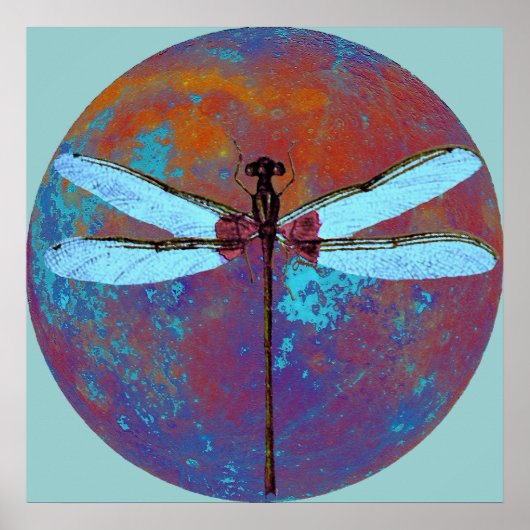 ドラゴン飛行 ポスター (正面)