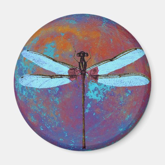 ドラゴン飛行 マグネット (正面)