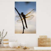 ドラゴン・アット・レスト ポスター (キッチン)