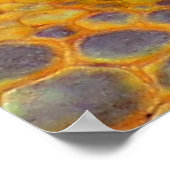 ドラゴン・ガーディアン ポスター (角)