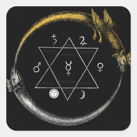 ドラゴン&スネークオロボロス スクエアシール (正面)