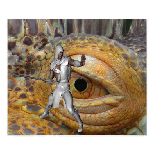 ドラゴン・スレイヤー フォトプリント            (正面)
