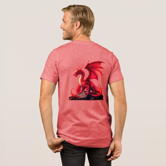 ドラゴン トライブレンドTシャツ (フル背面)