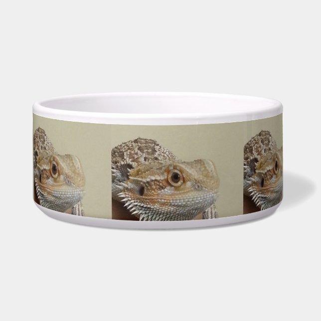 ドラゴン ボウル (正面)