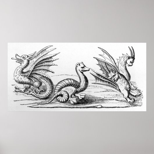 ドラゴン ポスター (正面)