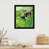 ドラゴン ポスター (キッチン)