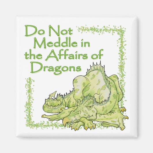 ドラゴン マグネット (正面)