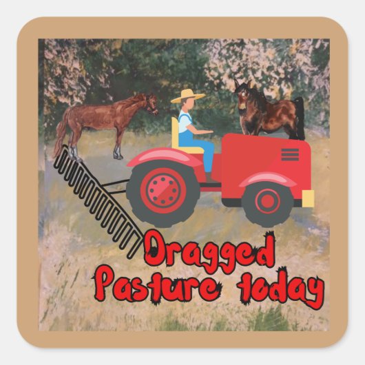 ドラッグされた牧草地のシール スクエアシール (正面)