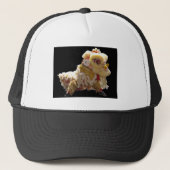 ドラッ中国のグ キャップ (正面)