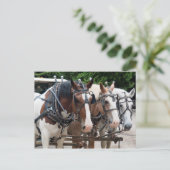 ドラフト馬チームに感謝 ポストカード (スタンド正面)