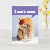 ドラマおもしろい猫 – 私は誕生日カードも カード (黄色い花)