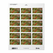 ドラマチックなポピー畑 ラベル (フルシート)