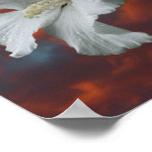 ドラマチックな空に白いハイビスカスの花 ポスター (角)