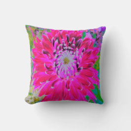 ドラマチックな紅色とピンクのダリアの花 クッション
