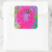 ドラマチックな紅色とピンクのダリアの花 スクエアシール (バッグ)