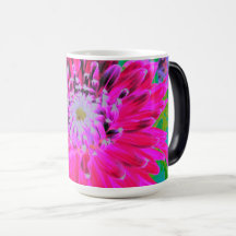 ドラマチックな紅色とピンクのダリアの花