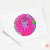 ドラマチックな紅色とピンクのダリアの花 ラウンドシール (封筒)