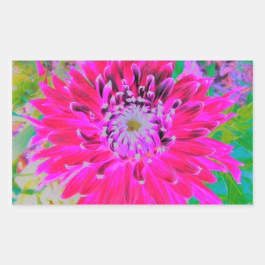 ドラマチックな紅色とピンクのダリアの花 長方形シール (正面)