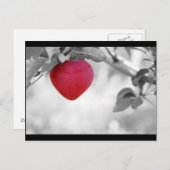 ドラマチックな赤いハートの形をしたリンゴ ポストカード (正面/裏面)