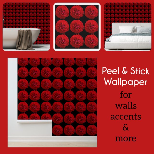 ドラマチックな赤いバラが黒に 壁紙 (クリエイターアップロード済み)