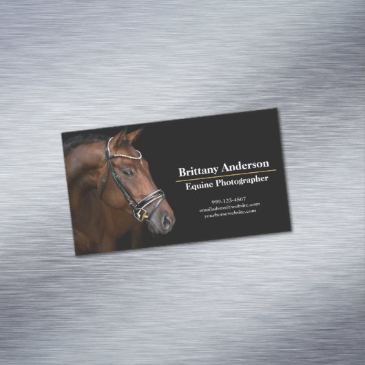 ドラマチックミニマルな黒馬/写ウマ科の真者 マグネット名刺 (インサイチュ)