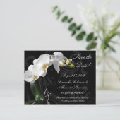 ドラマチック白黒蘭の花の保存日 案内ポストカード (スタンド正面)
