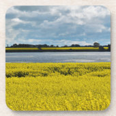 ドラマチック美しいコースター コースター (正面)