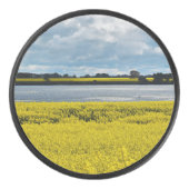 ドラマチック・ストリーサム美しい アイスホッケーパック (正面)