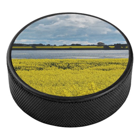 ドラマチック・ストリーサム美しい アイスホッケーパック (3/4)