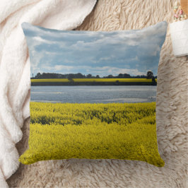 ドラマチック・ストリーサム美しい クッション