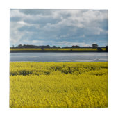 ドラマチック・ストリーサム美しい タイル (正面)