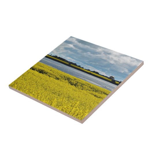 ドラマチック・ストリーサム美しい タイル (側面)