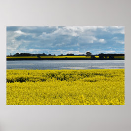 ドラマチック・ストリーサム美しい ポスター