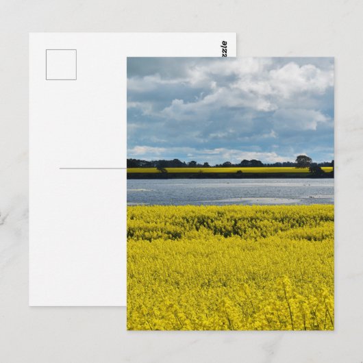 ドラマチック・ストリーサム美しい ポストカード (正面/裏面)