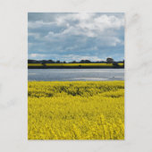 ドラマチック・ストリーサム美しい ポストカード (正面)